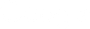 google-white-logo